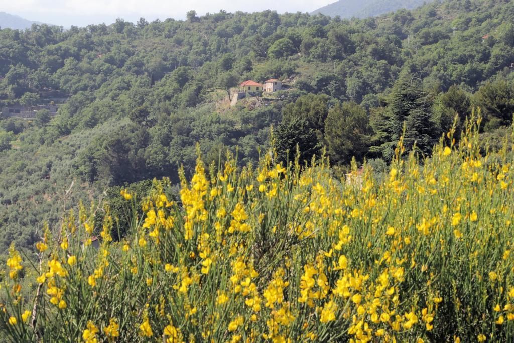 Case Natura Pontedassio Zewnętrze zdjęcie